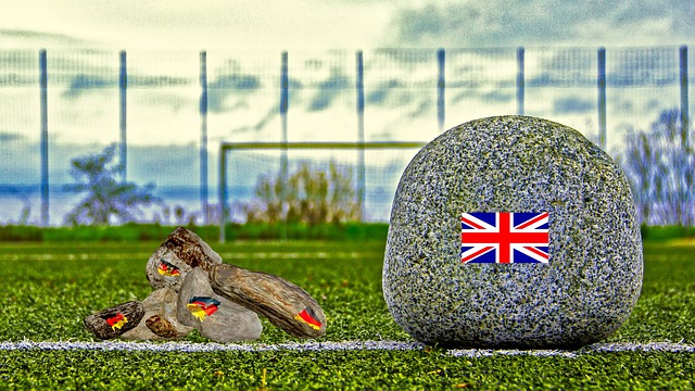 森林狼队却 森林狼队却