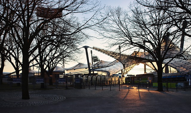 男篮带来新 男篮带来新